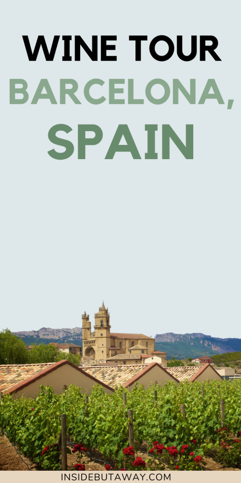 vineyard in spain showing the best wines in barcelona
