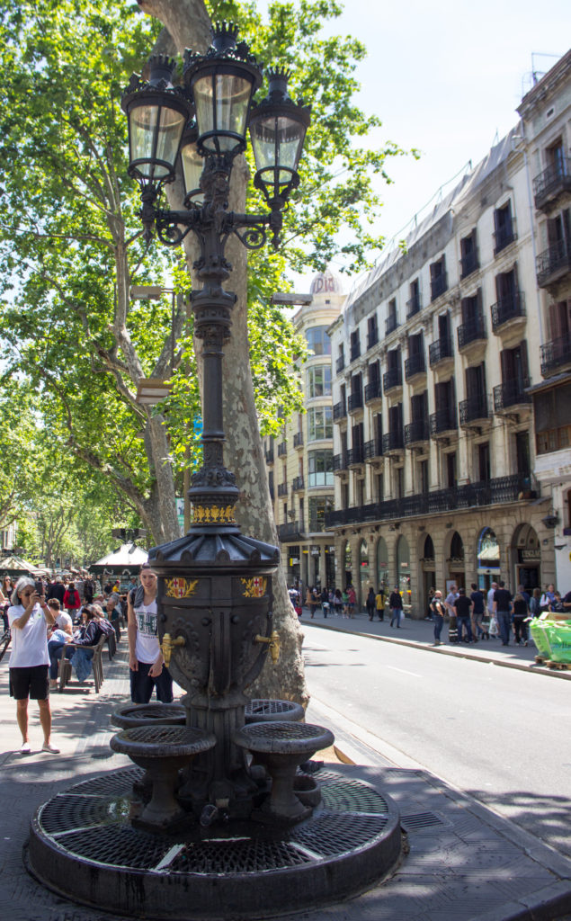 La Font de Canaletes, the magic drinking fountain in Barcelona, Spain.