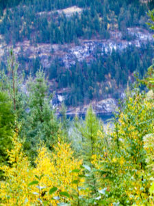 View of Kootenay Lake