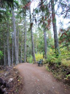 Wing Creek Resort