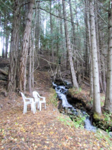 Wing Creek Resort
