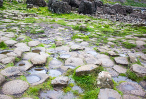 giants-causeway-tour