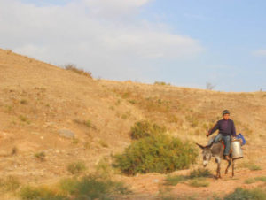 Uzbekistan-Countryside