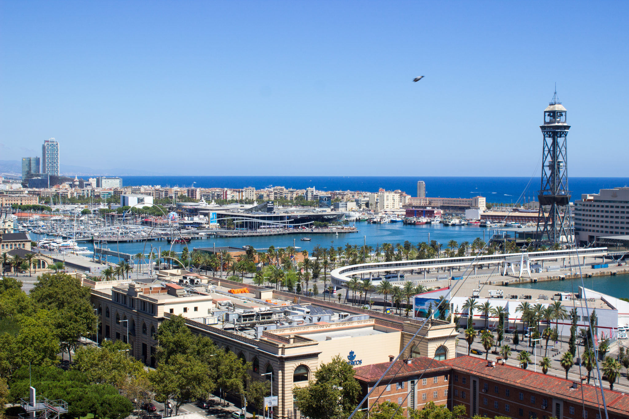 What to do in Barcelona Spain