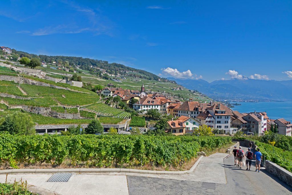 Alsace-France-Wine-Tour