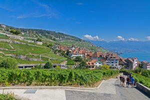Alsace-France-Wine-Tour