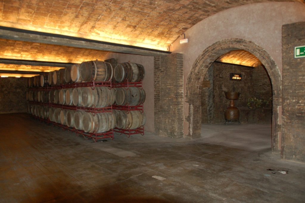 Alsace-France-Wine-Tour-wine-cellar