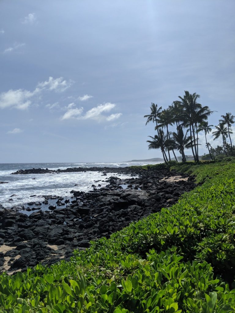 Kauai_Beaches