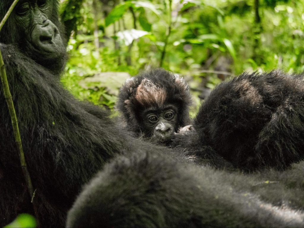 Rwanda