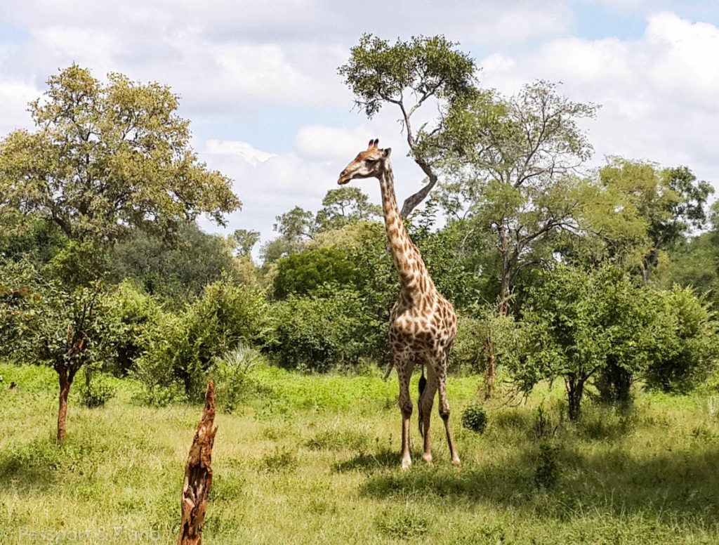 Botswana