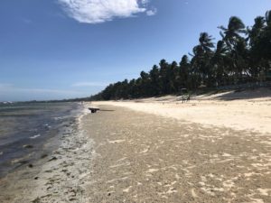 Lamu_Beach