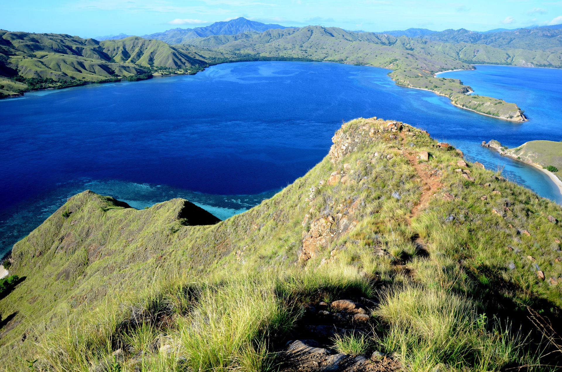 komodo-indonesia